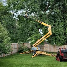 Tree and Shrub Care in Belmont, NC